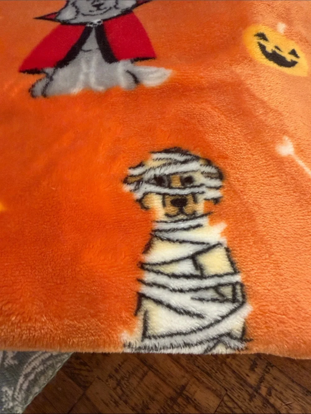 Halloween Blanket Canines in Costume